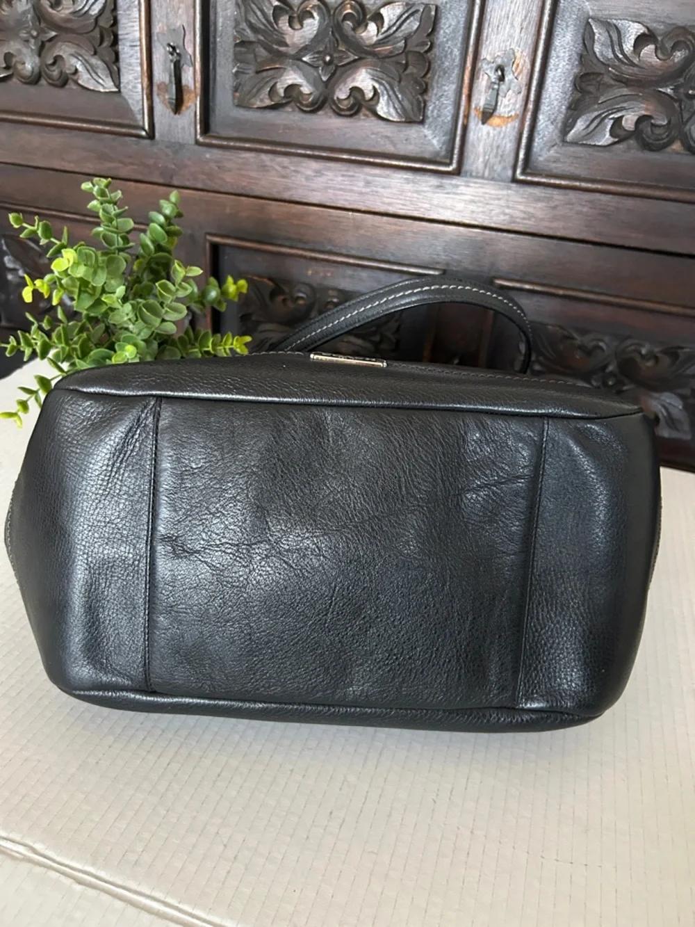 COACH Park Signature Carrie Tote Handbag.